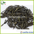 Polyphenol Antioxidant Green Tea Caffeine